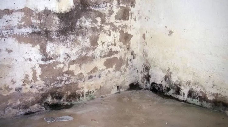 Feuchter Kellerraum mit Schimmelbildung an Wänden und Boden.