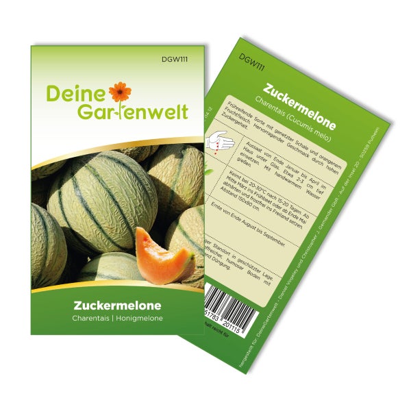 Zuckermelone Charentais Samen von Deine Gartenwelt