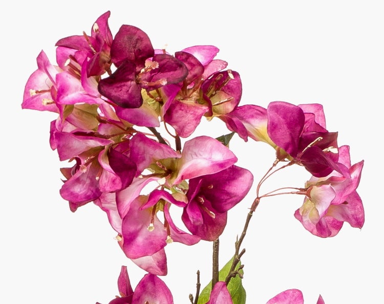 Künstlicher Bougainvillea-Zweig mit braunen Stielen, grünen Blättern und pinken Blüten.