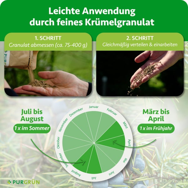 Purgrün Logo. Anwendung von Krümelgranulat: Schritt eins abmessen circa 75 bis 400 Gramm, Schritt zwei verteilen. Anwendung laut Kalender.
