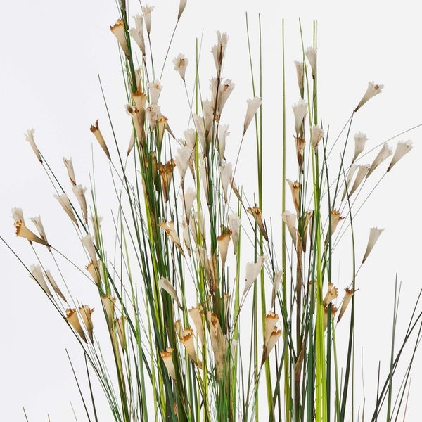 Künstliche Hängepflanze in einem Terrakottatopf mit Makramee-Seilaufhängung.