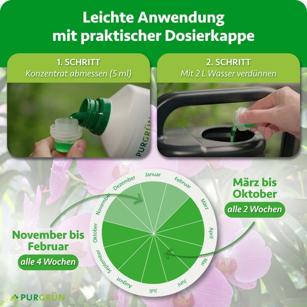 Anwendungshinweise fuer Purgruen Orchideenduenger mit Dosieranleitung und Dungekalender fuer verschiedene Monate.
