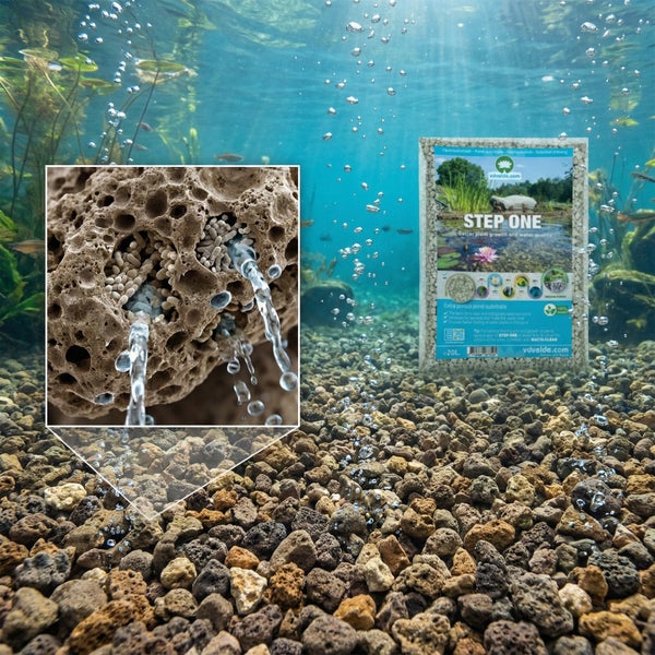 Teichsubstrat Step One von vdvelde.com in einer Unterwasseraufnahme mit Nahaufnahme der porösen Steinstruktur für gesundes Teichwasser.