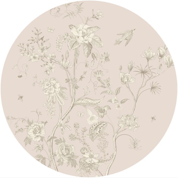 Detailaufnahme einer Zwerg-Koreatanne