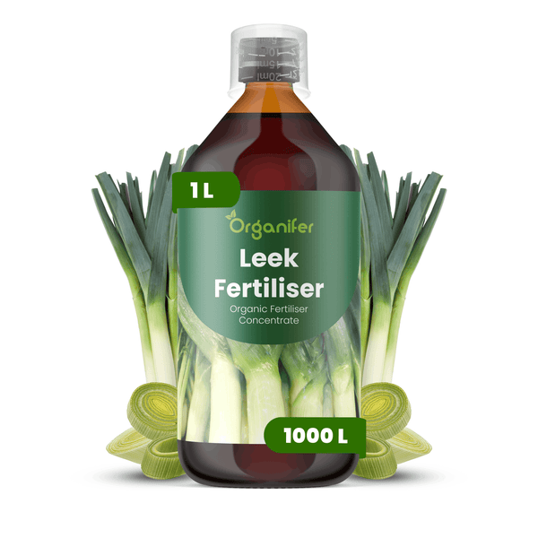 Organifer Porree-Dünger, 1 Liter organisches Düngerkonzentrat für 1000 Liter, Flasche mit Messbecher und Porree-Abbildung.
