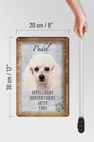 Blechschild Spruch 20x30cm Pudel Hund aktiv Schild