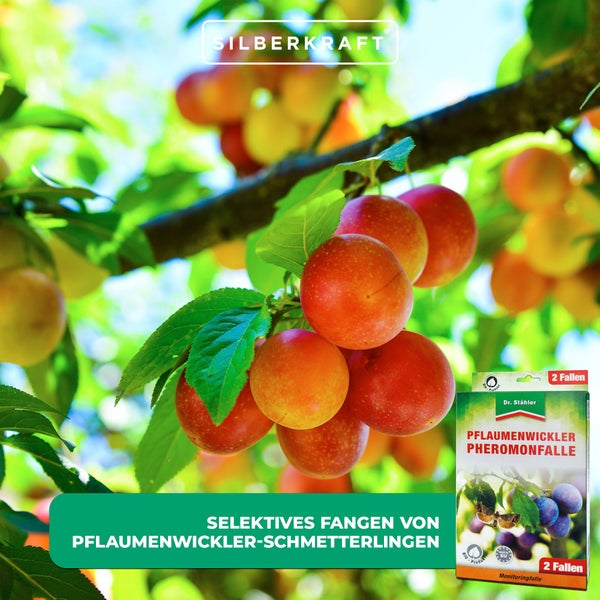 Pflaumenwickler Pheromon-Falle – Monitoringfalle zur Bekämpfung des Pflaumenwicklers – Ohne Insektizide – Für Hausgarten, Obstbaum & Plantage
