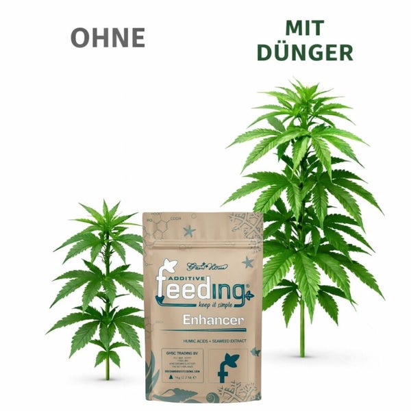 Abbildung eines Additiv Feeding Enhancer Produkts neben einer Pflanze mit und ohne Dünger