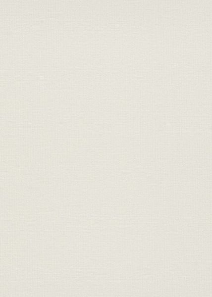 Dekoratives Arrangement auf einem grauen Tisch vor einer Wand