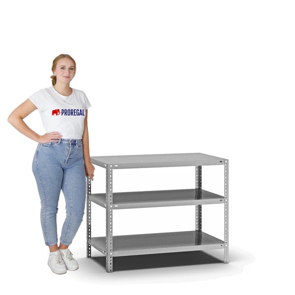 PROREGAL Fachbodenregal Schraubsystem Light-Duty Grundregal HxBxT 80 x 100 x 50 cm 3 Ebenen Fachlast 125 kg Beidseitig Nutzbar Verzinkt
