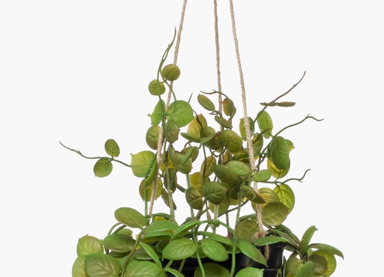 Künstliche Hängepflanze mit grünen, ovalen Blättern in einem schwarzen Topf mit Seilaufhängung.