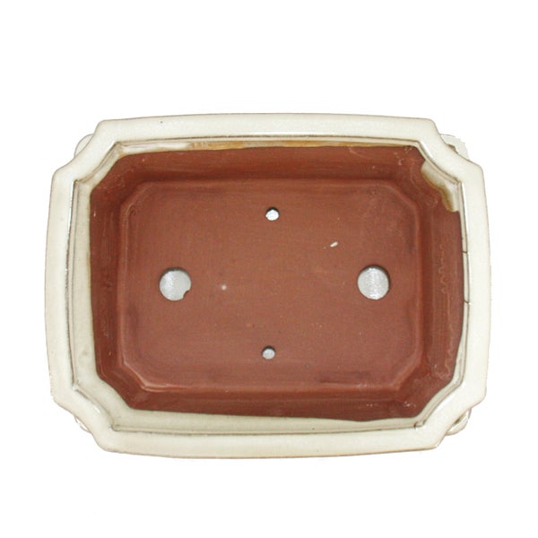 Bonsaischale mit Untersetzer