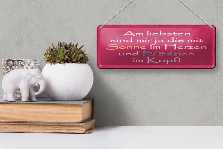 Blechschild Spruch 27x10 cm am liebsten sind die mit Sonne Dekoration