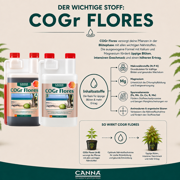 Infografik zum Canna COGr Flores Blütendünger A und B mit Erläuterung der Inhaltsstoffe, Anwendung und Wirkung für ein gesundes Pflanzenwachstum.