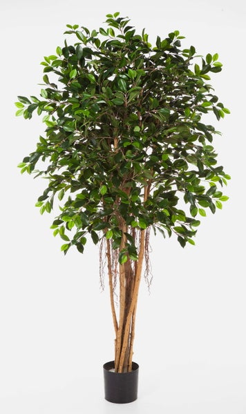 Künstliche Ficus-Pflanze im schwarzen Kunststofftopf mit dichten grünen Blättern und Naturstämmen.