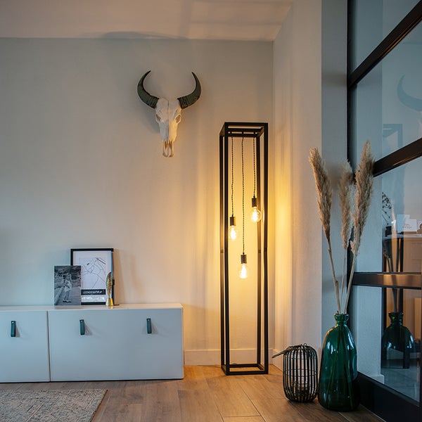 Wohnraum mit einer Stehlampe mit Rahmen, einem Sideboard und dekorativen Elementen wie einem Bullenschädel an der Wand.