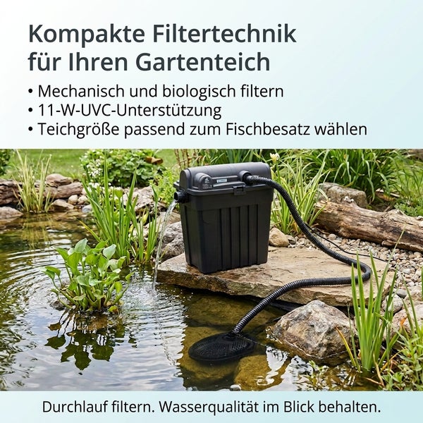 Durchlauffilter mit UVC Klarer für Gartenteiche zur mechanischen und biologischen Wasserreinigung, inklusive Pumpe und Schlauch am Teichrand.