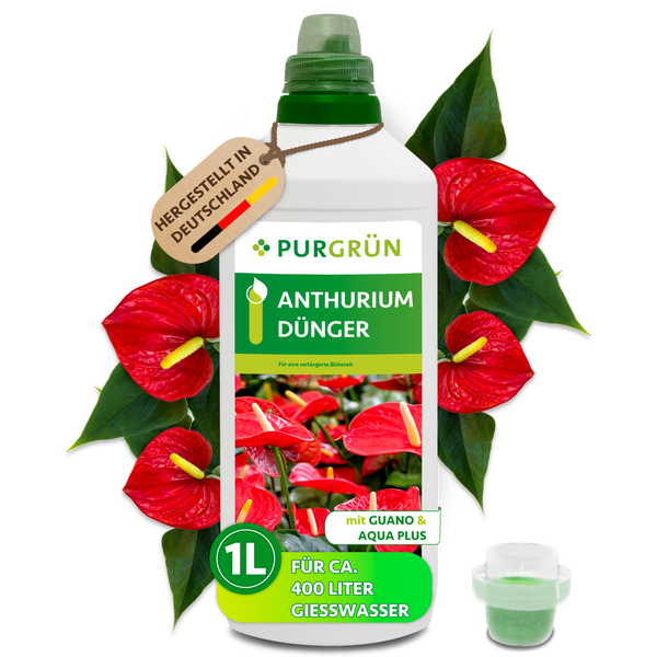 Purgrün Anthurium Dünger in einer 1 Liter Flasche mit Guano und Aqua Plus für 400 Liter Gießwasser, inklusive Dosierkappe.