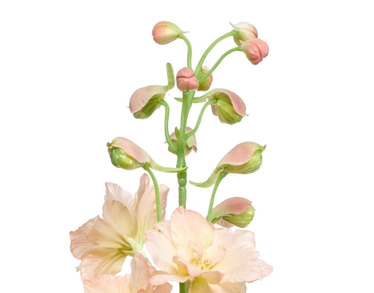 Künstliche Orchidee mit weißen Blüten, grünen Knospen und Stützstäben.