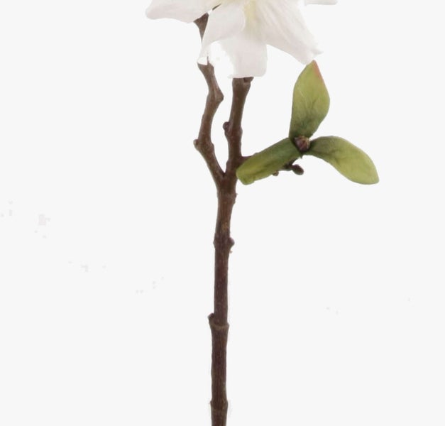 Künstlicher Magnolienzweig mit weißen Blüten und grünen Knospen.