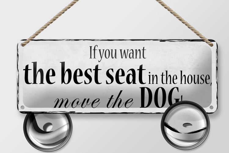 Blechschild Spruch 27x10cm if you want best seat move Dog Dekoration
