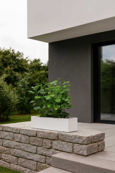 Weißer rechteckiger Pflanzkasten mit grünen Pflanzen auf einer Natursteinmauer vor einer modernen Hausfassade mit Terrasse.