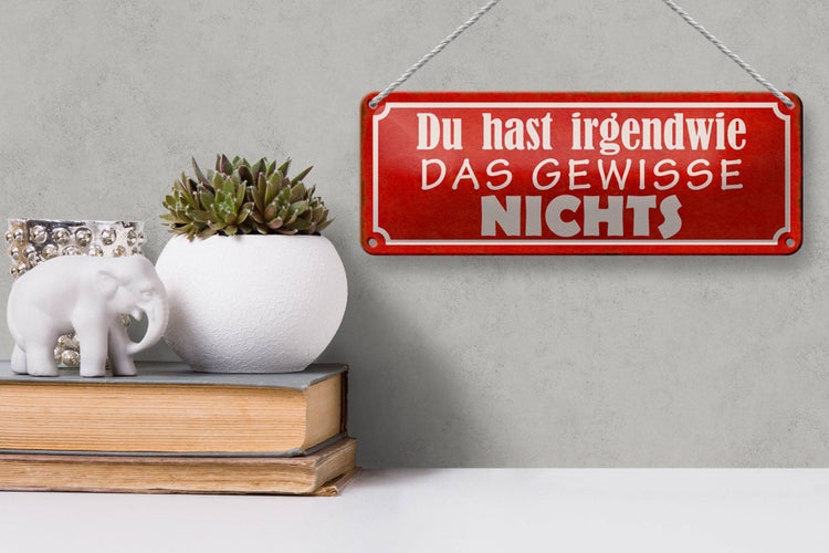 Blechschild Spruch 27x10cm du hast das gewisse nichts Dekoration