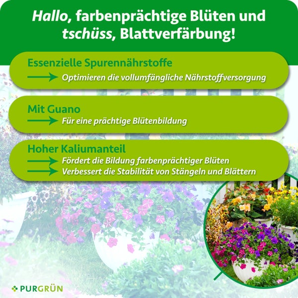 Infografik zum Purgrün Blumendünger mit Spurennährstoffen, Guano und hohem Kaliumanteil für Blütenpracht und stabile Pflanzen.