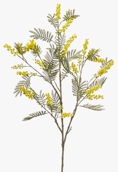 Künstlicher Mimosenzweig mit gelben Blüten und grünen, gefiederten Blättern.