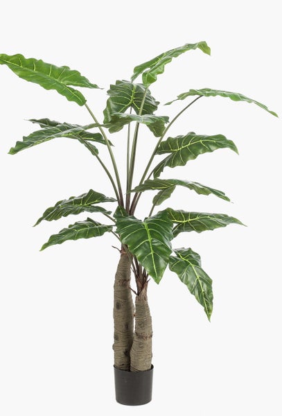 Künstliche Alocasia im schwarzen Topf mit großen grünen Blättern, hellen Blattadern und zwei strukturierten Stämmen.