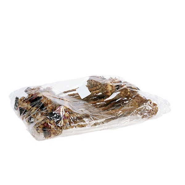 Packung mit Zwiebeln in einer transparenten Plastiktüte