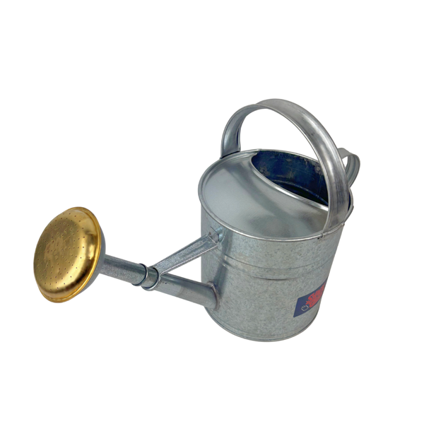 Verzinkte Gießkanne mit Brausekopf