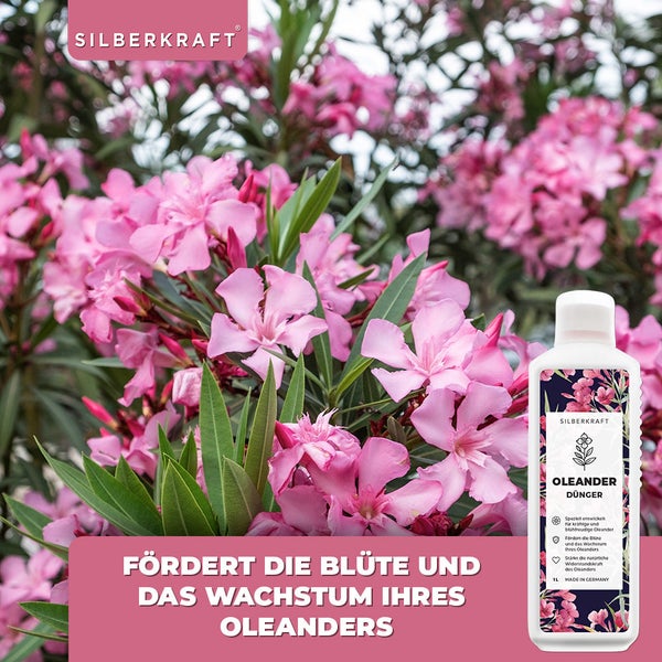 SILBERKRAFT Oleander Dünger – Für gesunde Oleander – 1 Liter