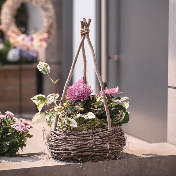 FRANK FLECHTWAREN|Pflanzer Rank-Pyramide, Ø 29 x 11 cm, GH 54 cm, innen Ø 20 cm, WEIDE, SCHICHTHOLZ, FOLIE