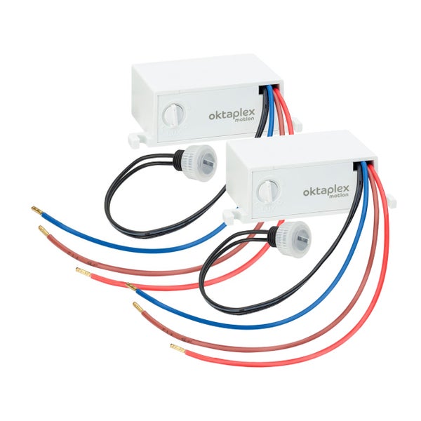 Feld von Scilla-Blüten im Garten