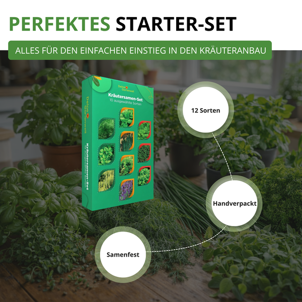 Kräutersamen-Set von Deine Gartenwelt als Starter-Set für den Kräuteranbau mit 12 Sorten, handverpackt und samenfest.