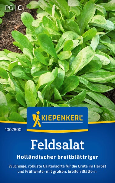 Saatgut Feldsalat Hollaendischer Breitblaettriger von Kiepenkerl Logo, wuechsige Sorte fuer die Herbsternte.