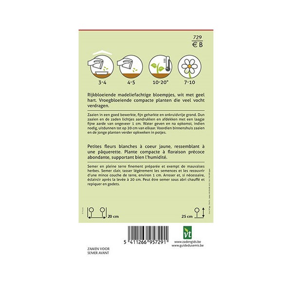 Informationen zu Margeritenblumensamen