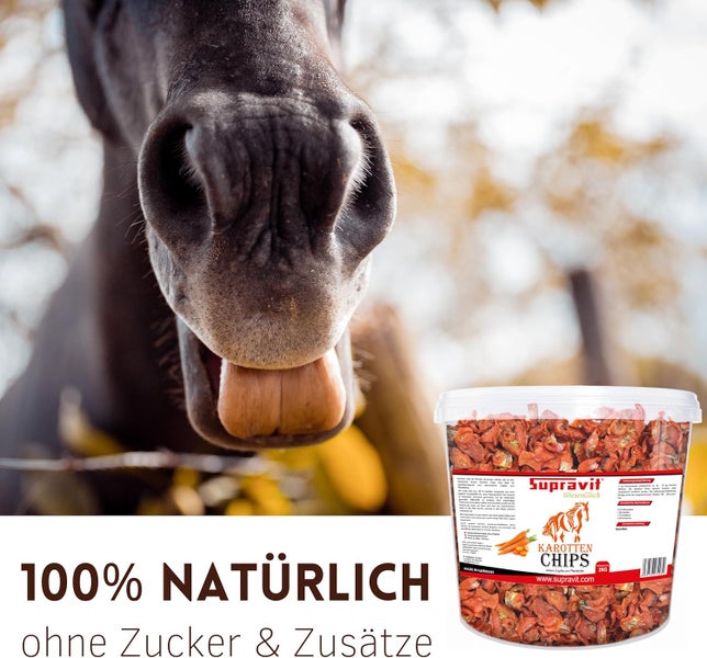Nahaufnahme von einem Pferd, das Karottenchips von Supravit WiesenGlück betrachtet. Die Karottenchips sind ohne Zucker und Zusätze.