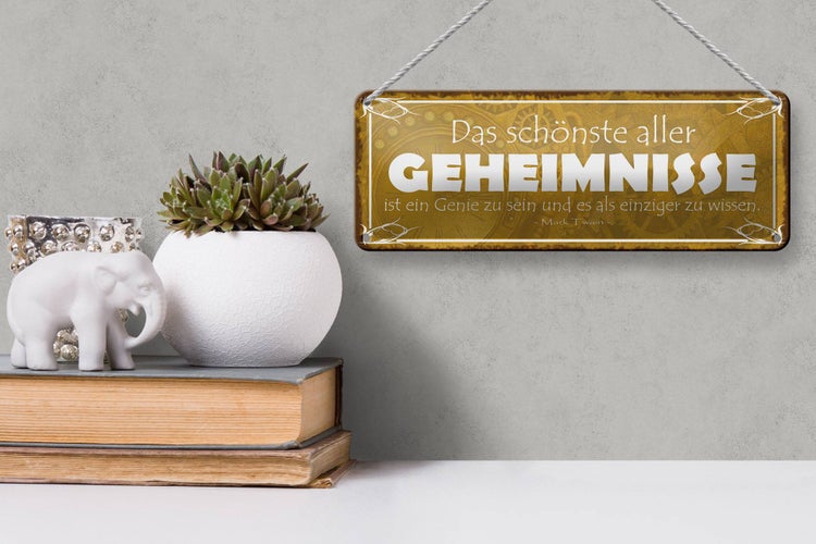 Blechschild Spruch 27x10cm Genie sein und einzige wissen Dekoration