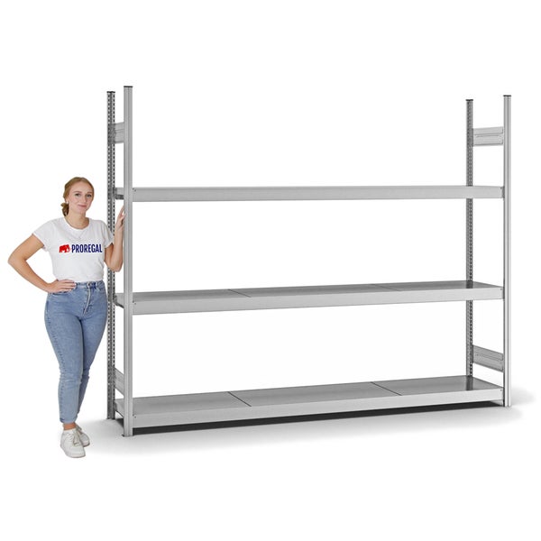 PROREGAL Weitspannregal Stecksystem T-Profil Grundregal HxBxT 200x250x40 cm 3 Ebenen Stahlplatten Fachboden Fachlast 350 kg Verzinkt