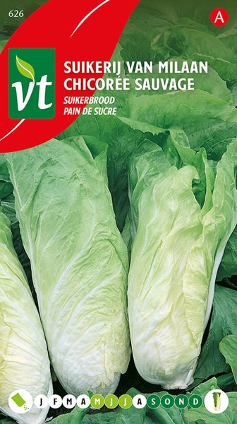Zuckerhut-Salat-Samenpackung