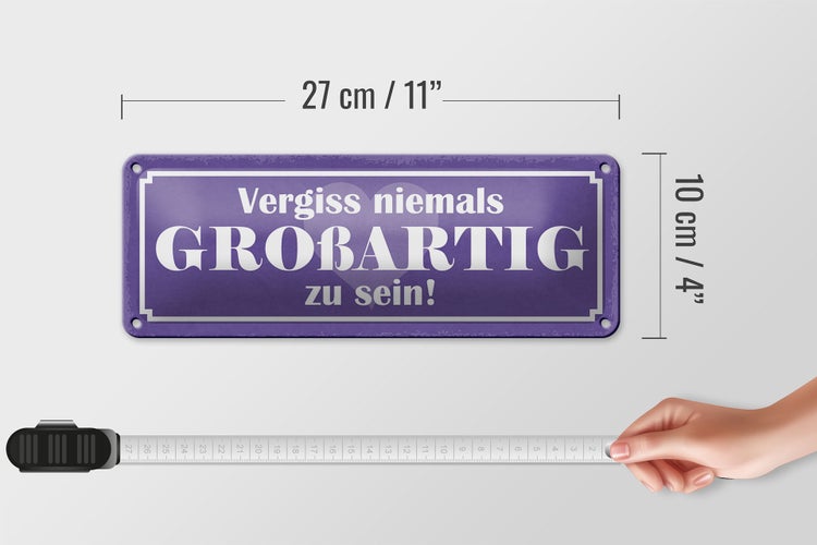 Blechschild Spruch 27x10cm vergiss nie GROßARTIG zu sein Dekoration