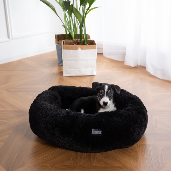 Home Deluxe - Haustierbett MUFFIN - Maße: 120 x 120 x 22 cm, Farbe: Schwarz, inkl. Tierdecke, Baumwollfüllung, waschbarer Bezug, Rutsch- & Wasserfest I Hundebett Hundekissen Bett für Katzen