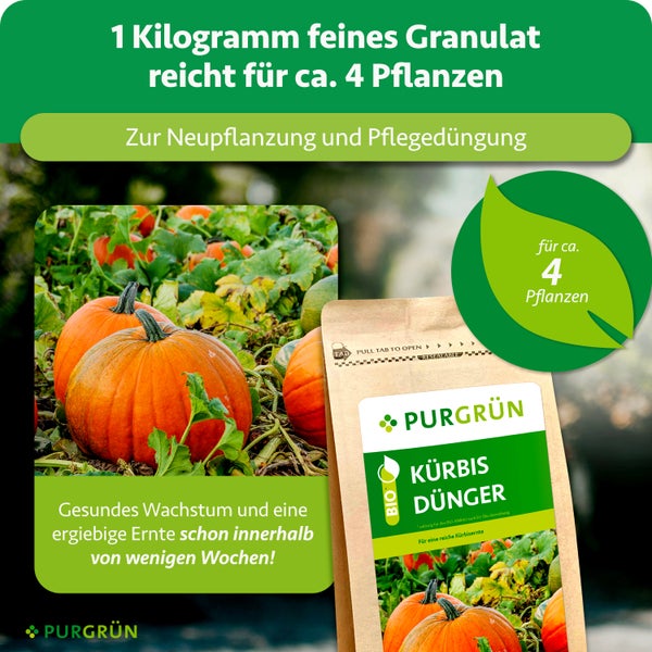 Purgrün Kürbis-Dünger, 1 Kilogramm Granulat für circa 4 Pflanzen, für Neupflanzung und Pflegedüngung, für gesundes Wachstum, Purgrün Logo.