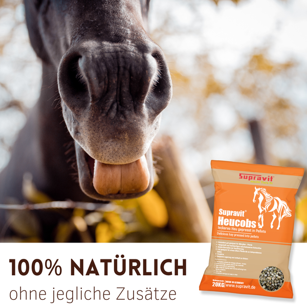 Nahaufnahme eines Pferdes mit einer Packung Heucobs von Supravit im Vordergrund