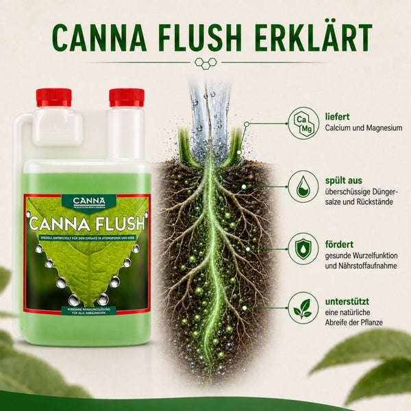 Canna Flush Düngerspülung in Flasche mit Erklärgrafik zur Wirkungsweise bei Wurzeln und Pflanzenpflege für Hydroponik und Erde.