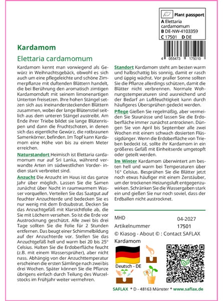 SAFLAX Garden to go - Kardamom - Elettaria cardamomum - 20 Samen - Mit Topf, Klima - Deckel und Anzuchtsubstrat