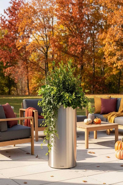 Hoher zylindrischer Pflanzkübel aus Edelstahl auf einer Terrasse mit Gartenmöbeln aus Holz und herbstlichen Bäumen im Hintergrund.