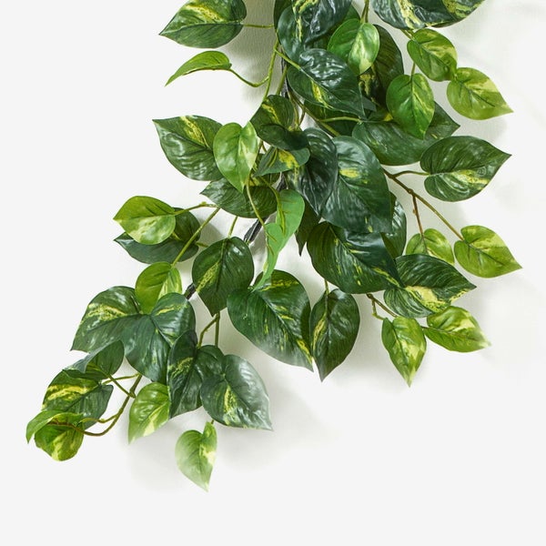 Künstliche Hängepflanze Efeutute mit herzförmigen Blättern und gelber Panaschierung.
